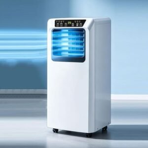 Olimpia Splendid Climatiseur mobile DOLCECLIMA COMPACT 9 MG